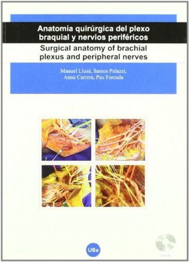 Anatomía quirúrgica del plexo braquial y nervios periféricos/Surgical anatomy of brachial plexus