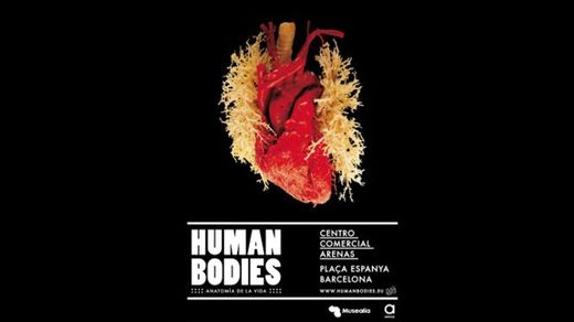 HUMAN BODIES Exposición Barcelona