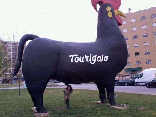 Tourigalo