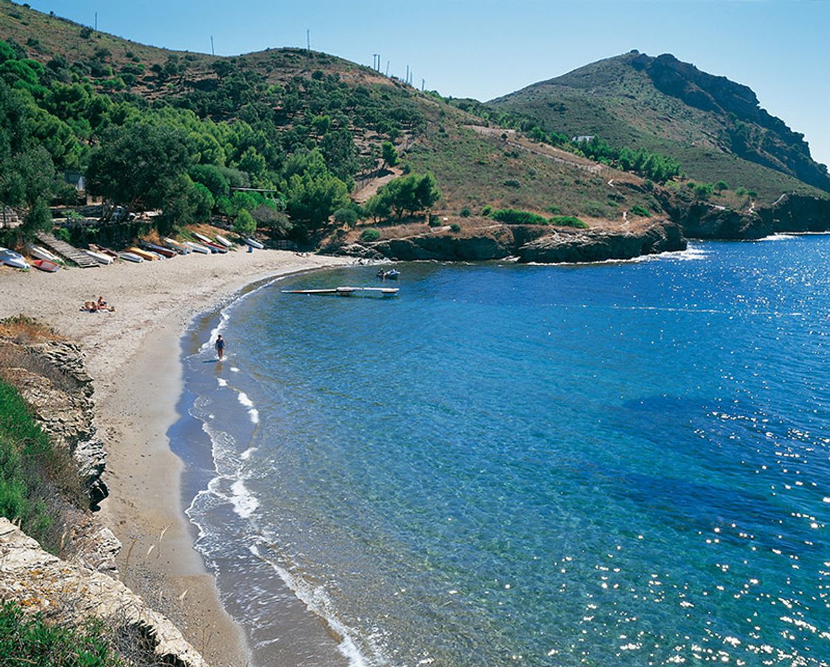 Places Cala Pelosa