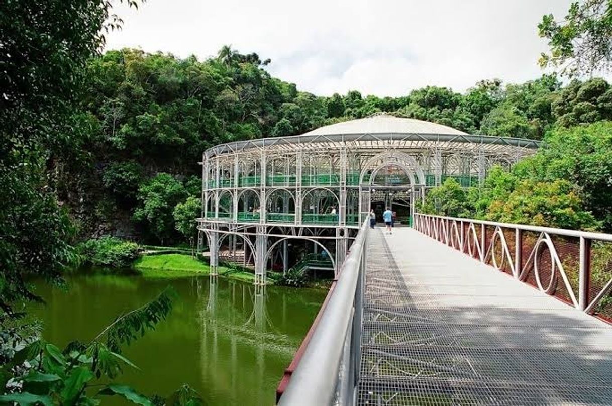 Lugar Ópera de Arame - Parque das Pedreiras