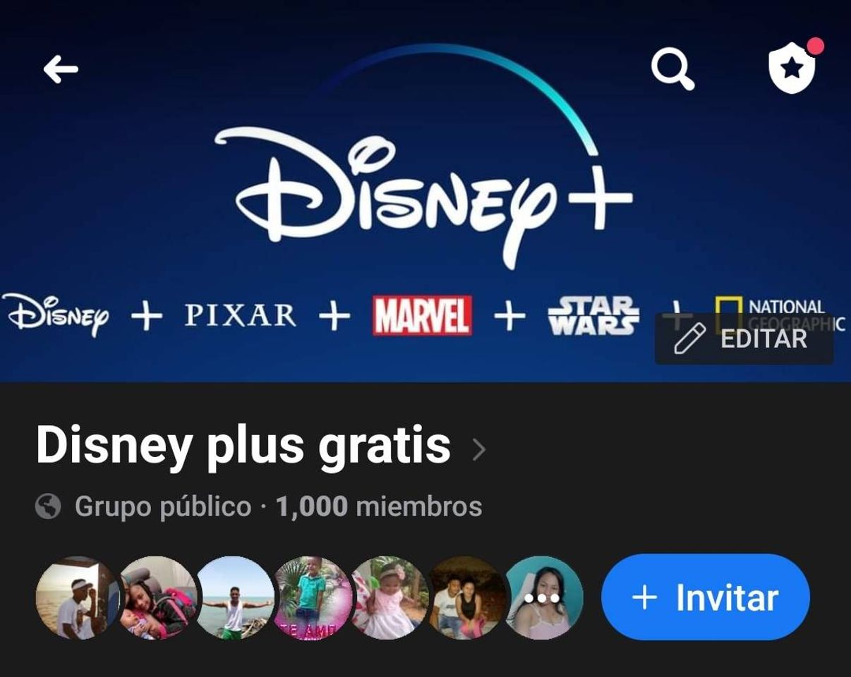 Moda Disney plus GRÁTIS