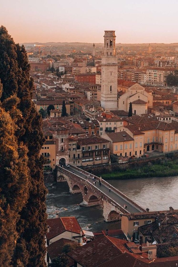 Moda Verona🇮🇹