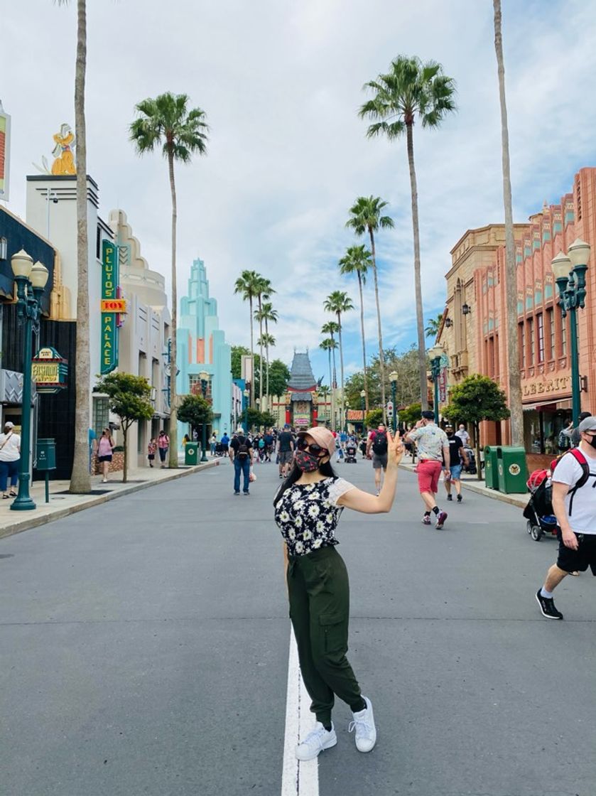 Place Disney's Hollywood Studios