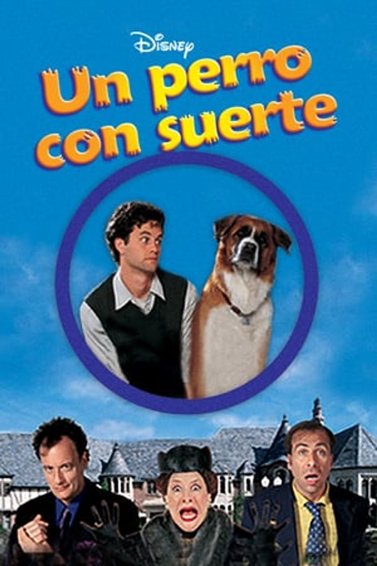 Movie Un perro con suerte