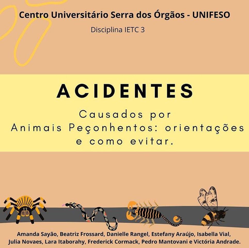 Fashion Acidentes com animais peçonhentos.