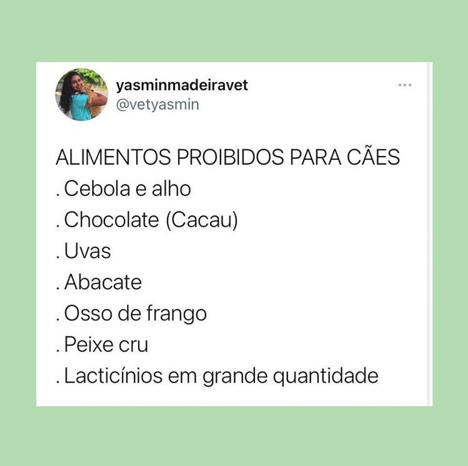 Fashion Alimentos proibidos para cães.