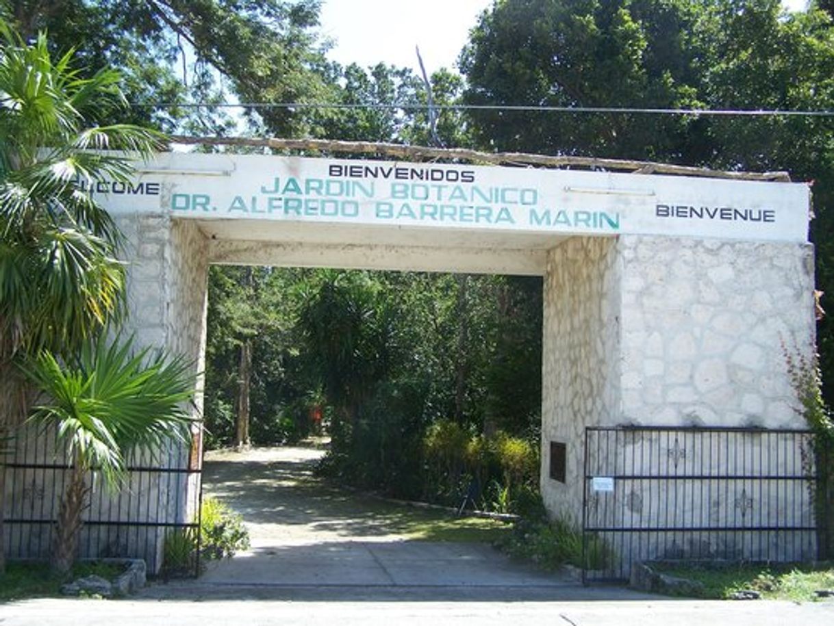 Places Jardín Botánico Dr. Alfredo Barrera Marín