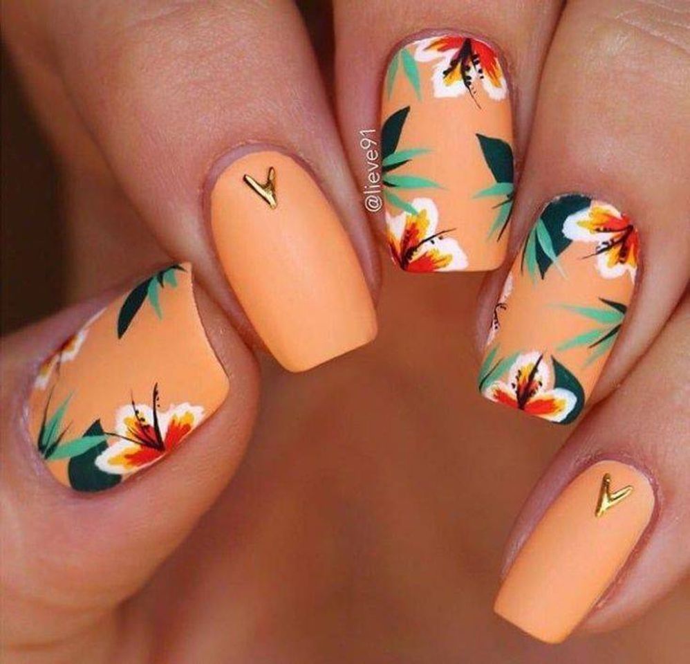 Moda Nailss