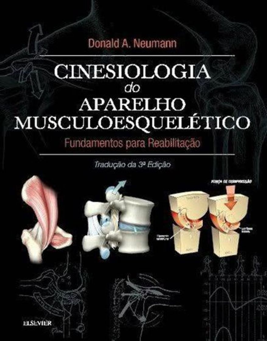 Fisioterapia cinesiologia 