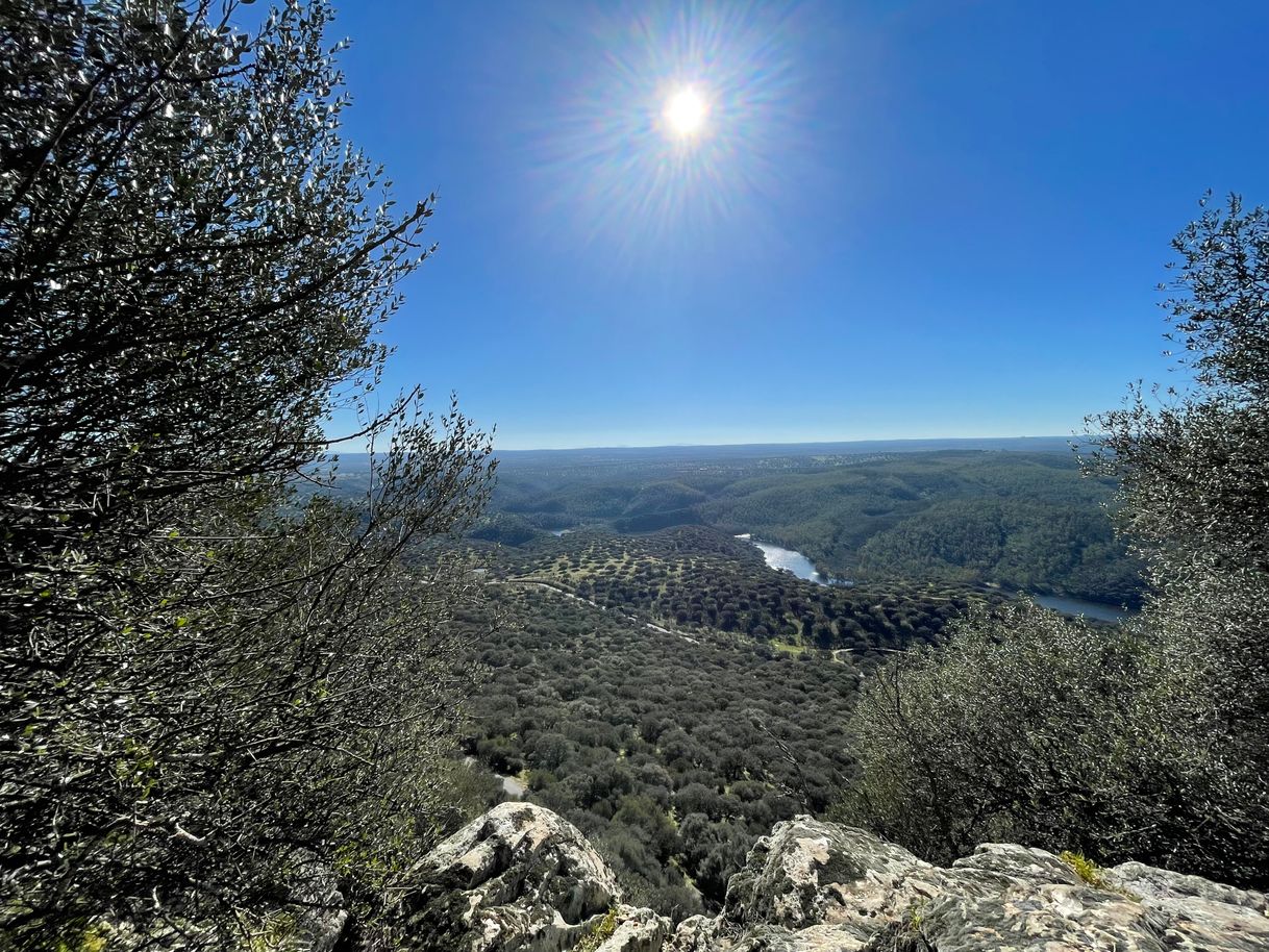 Lugar Monfrague Natural Ecoturismo