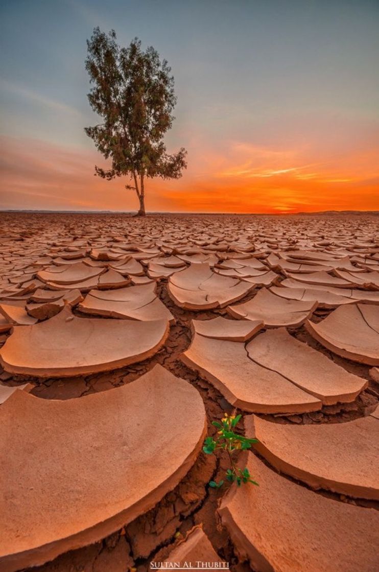 Moda Rachadura na terra