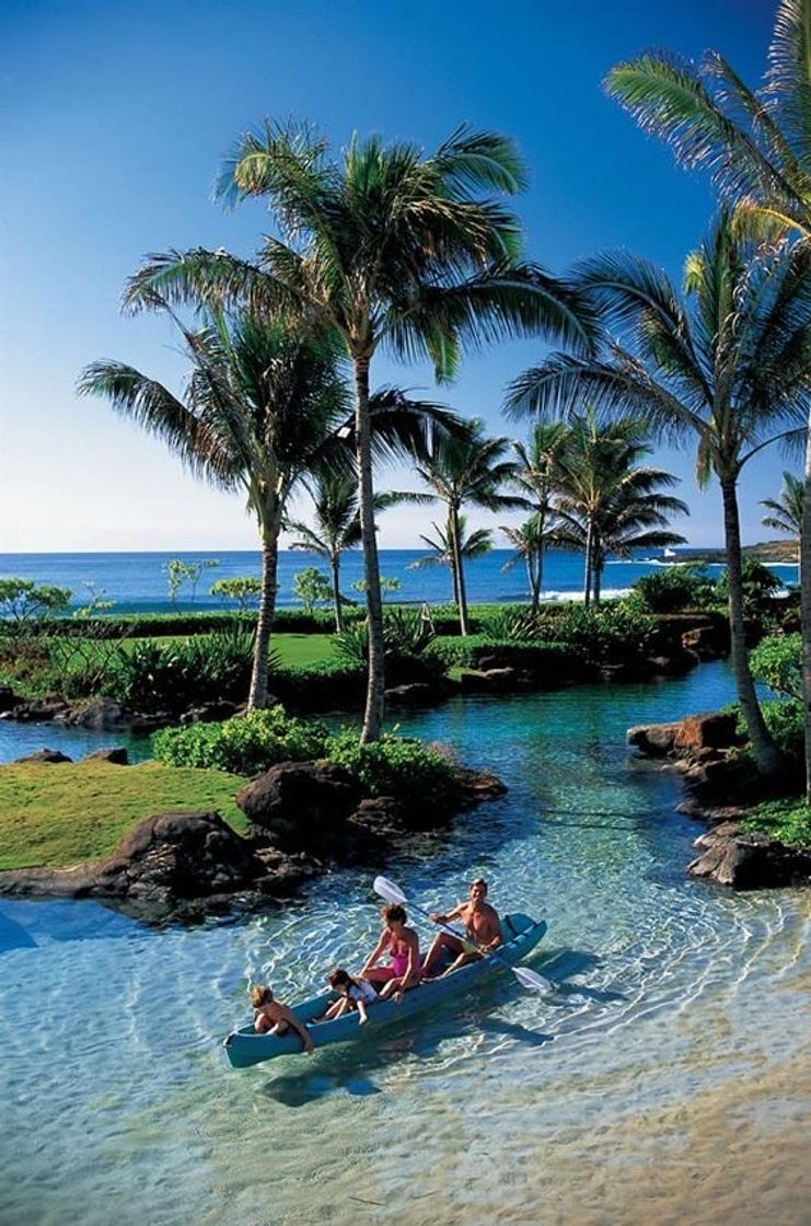 Lugar Hawaii