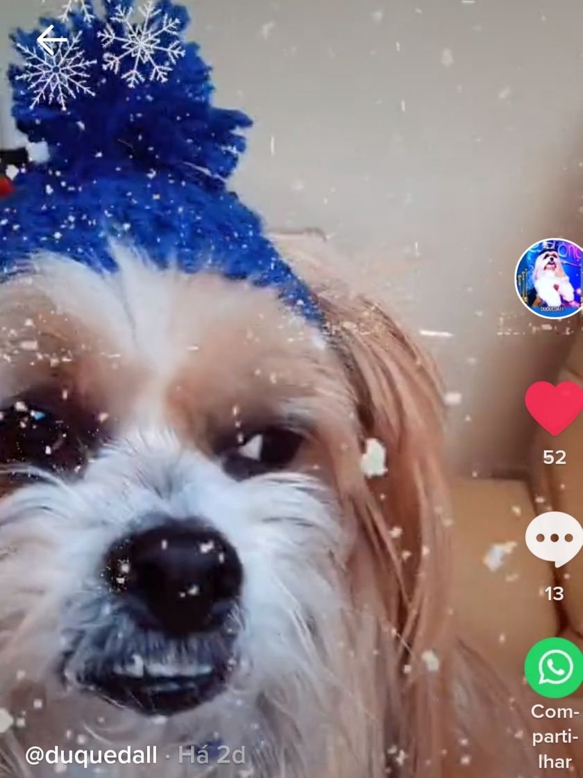 Moda Melhores vídeos do Tiktok