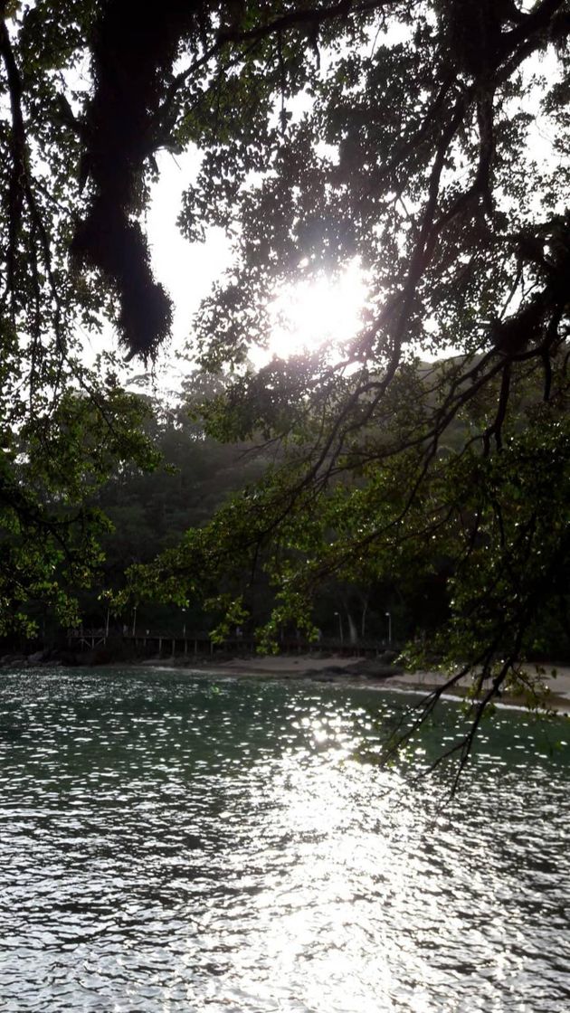 Lugar Praia Balneário Camboriú