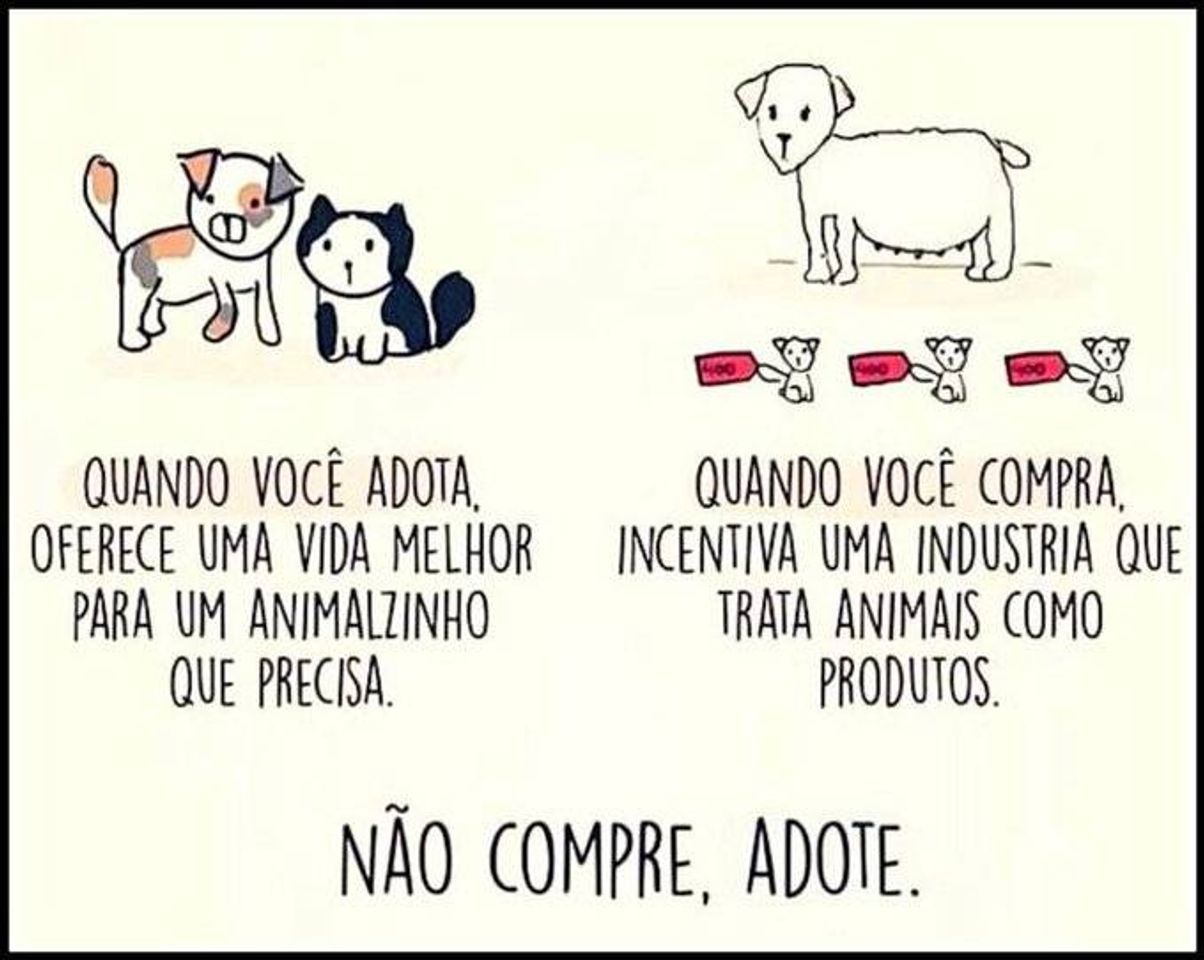 Moda NÃO COMPRE, ADOTE!