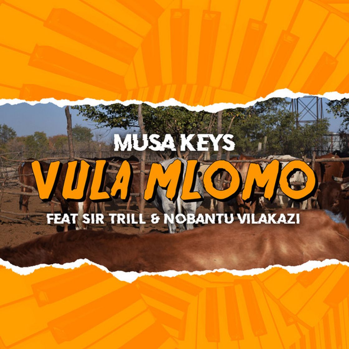 Music Vula Mlomo