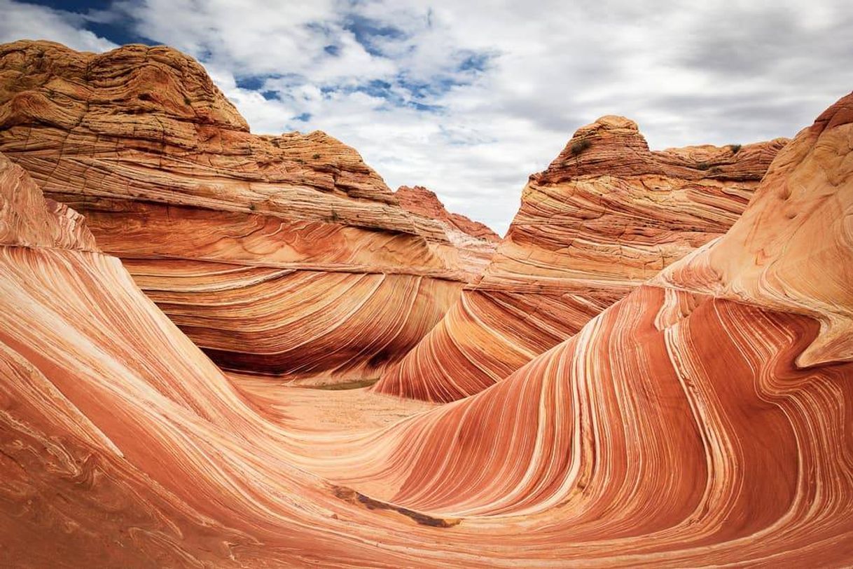 Place Wave