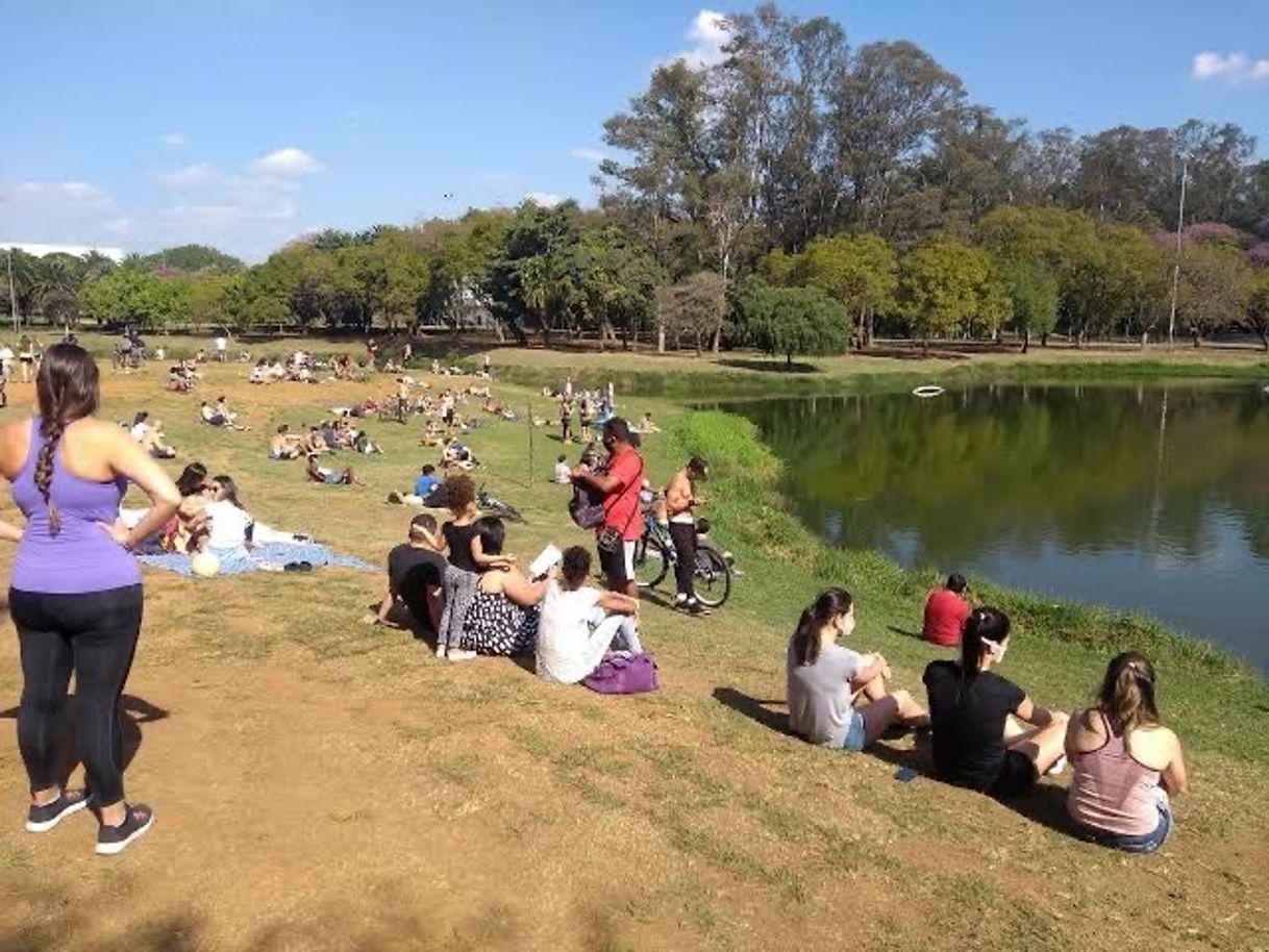 Lugar Parque Ibirapuera Conservação