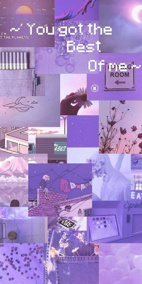 Moda Wallpaper roxo 