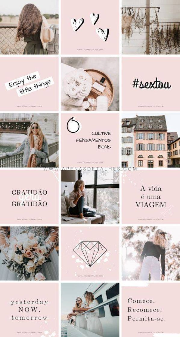 Fashion Feed rosa