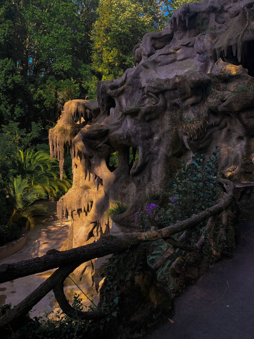 Social Santa Maria da feira 