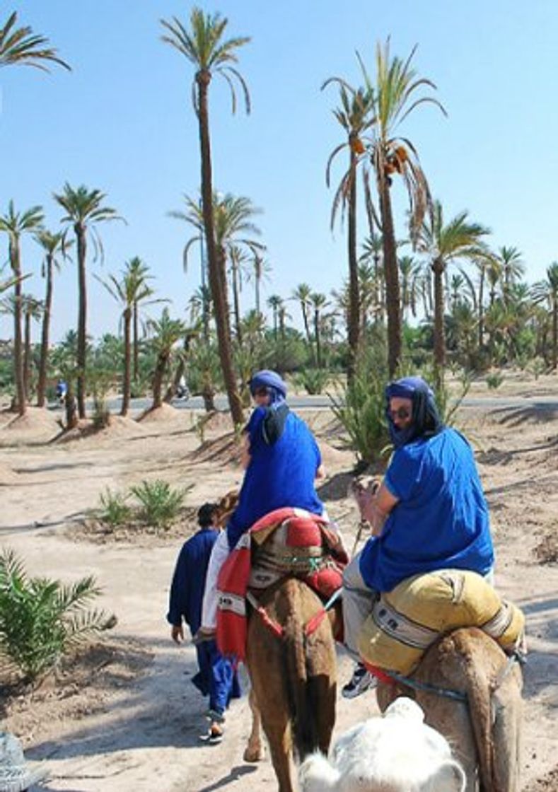 Place El Palmeral Marrakech