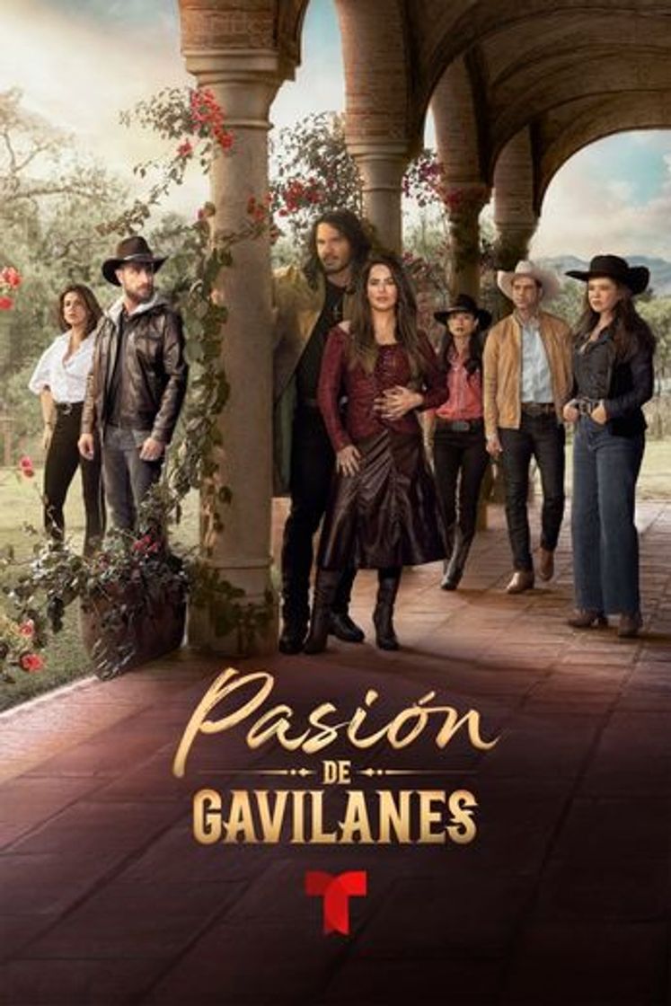 Serie Pasión de gavilanes