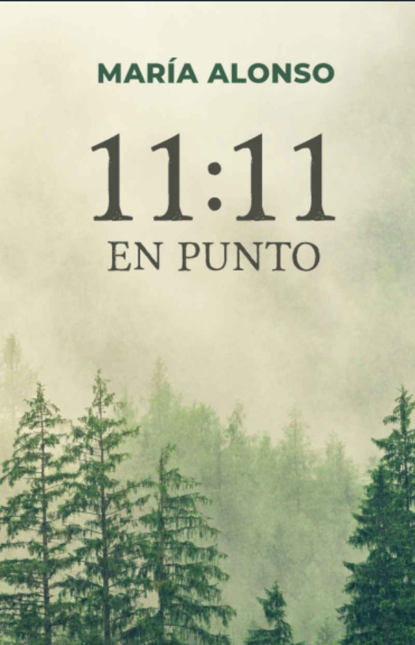 Book 11:11 en punto