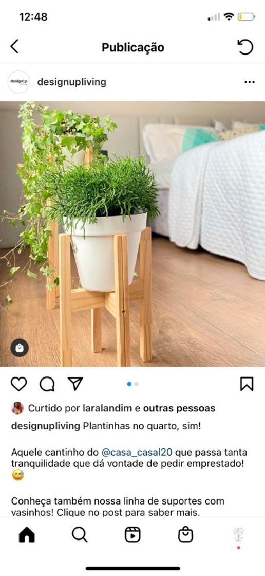 Fashion Decoração com plantas