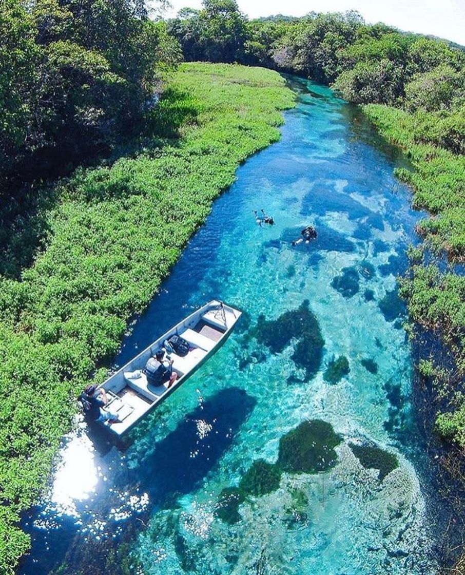 Lugar Bonito