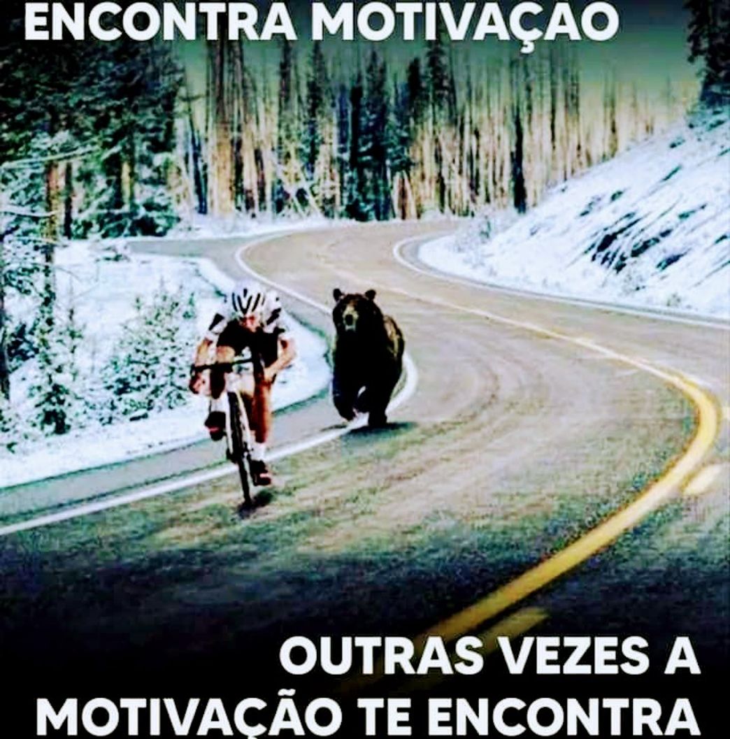 Movies Motivado 