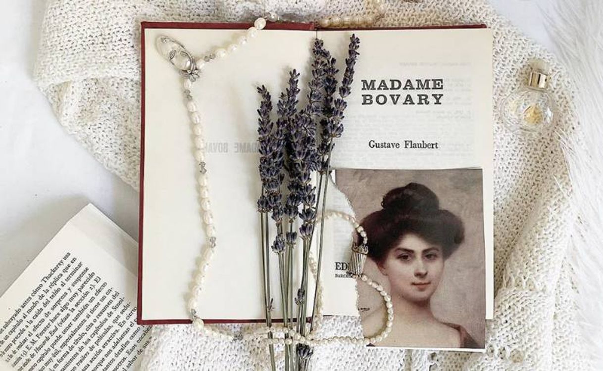 Social Madame Bovary, de Gustave Flaubert