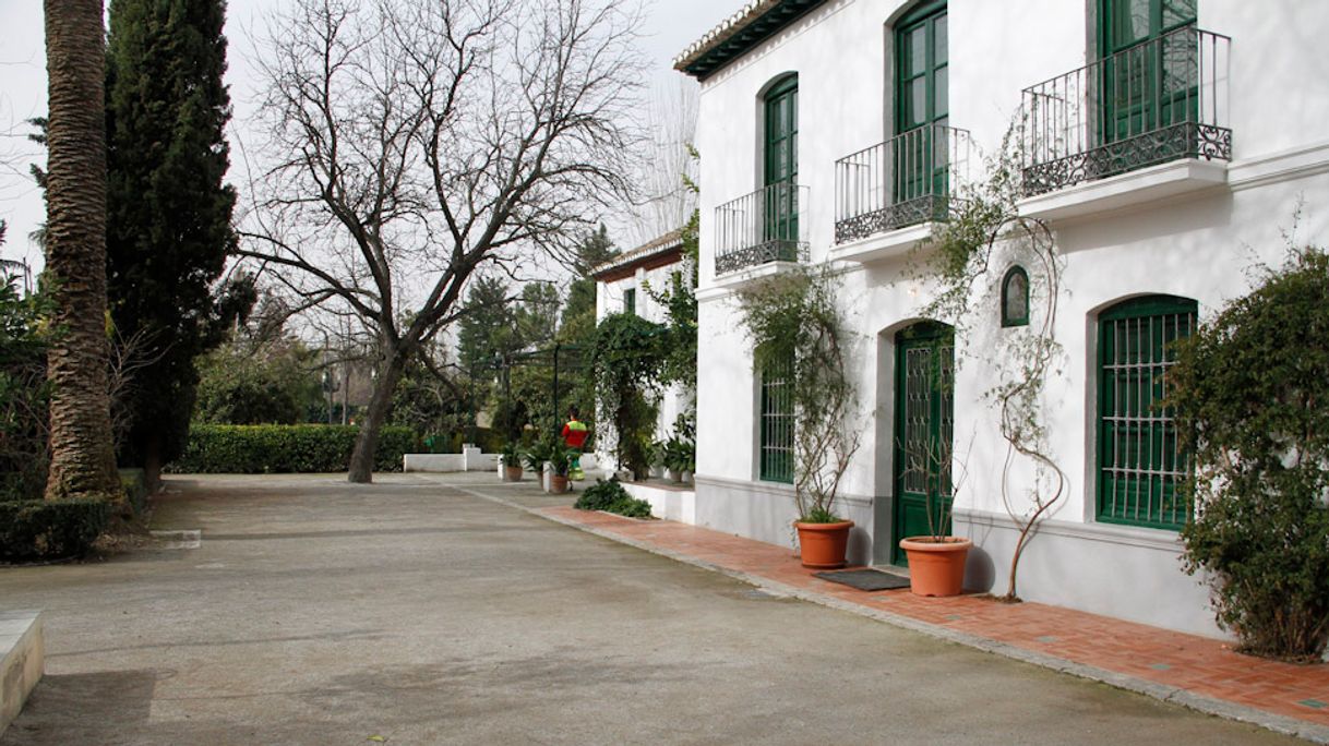 Lugar Huerta de San Vicente