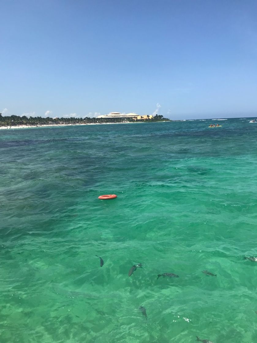 Place Barceló Maya Palace