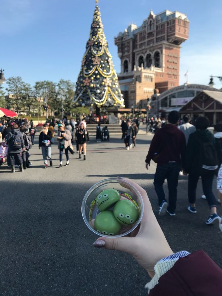 Place Tokyo DisneySea