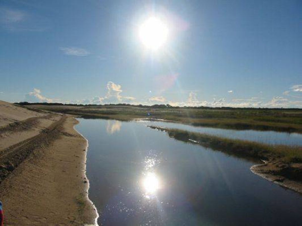 Place Venezuelan Llanos