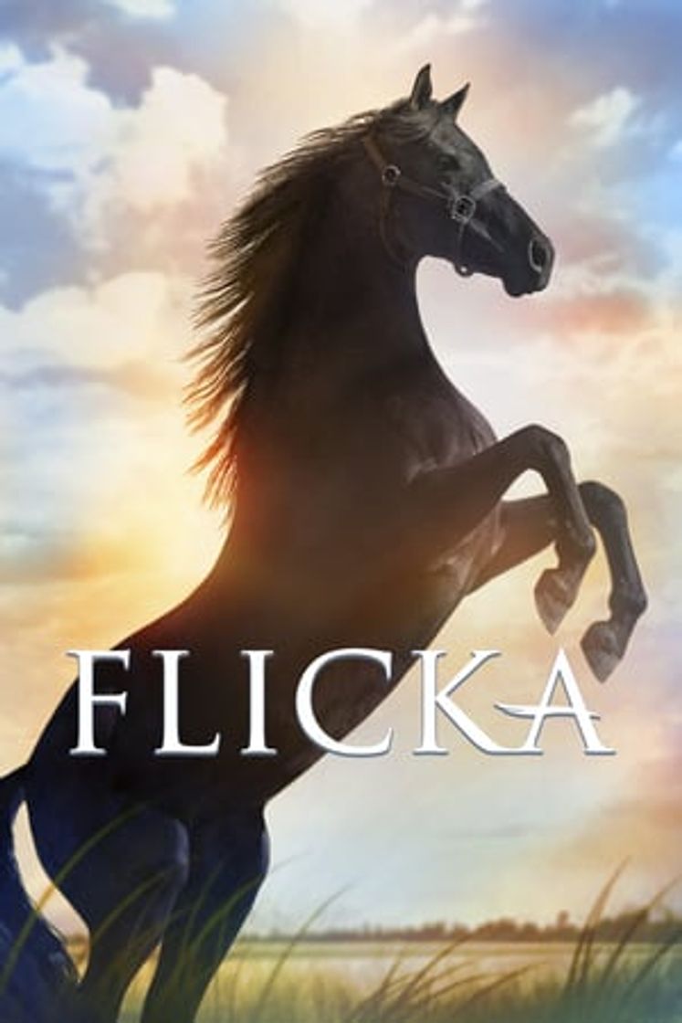 Película Flicka