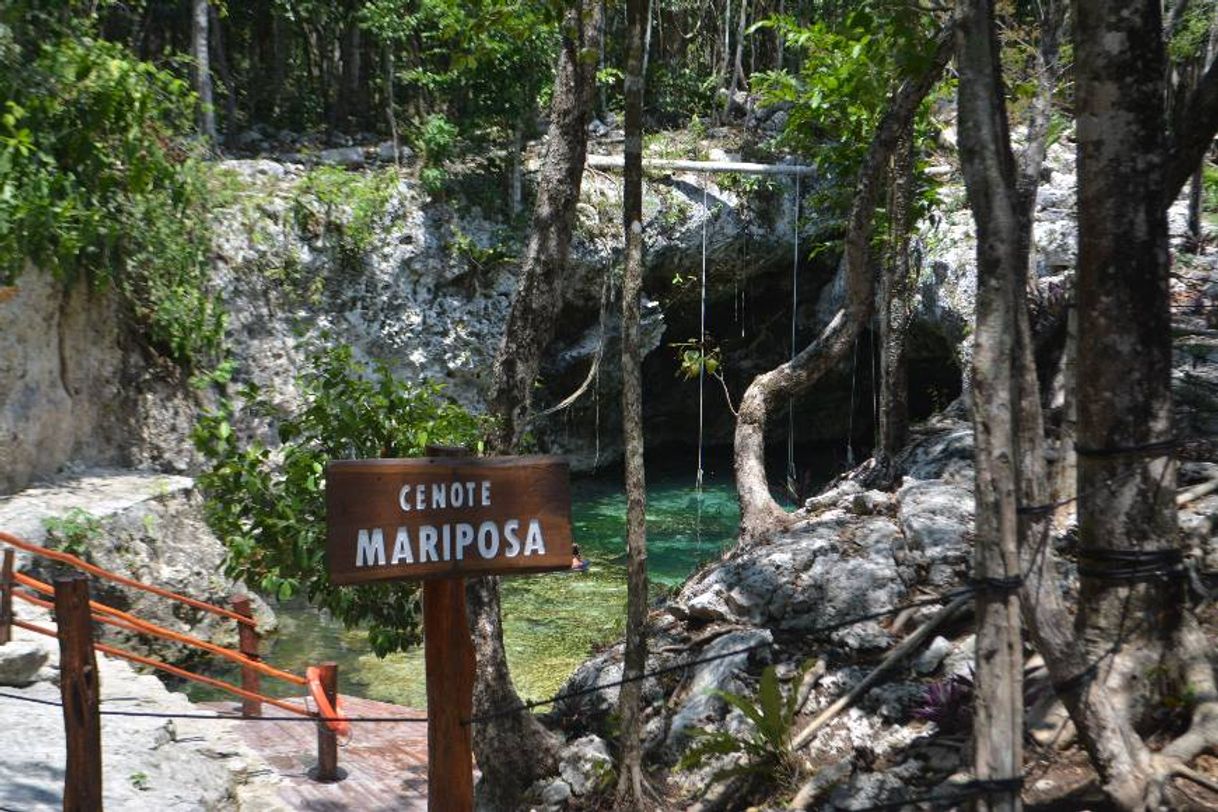 Place Oficina Los 7 Cenotes, San Gerónimo