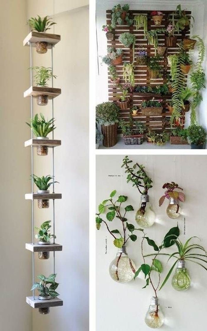 Fashion Decoração com plantas e pallet 