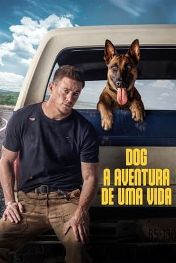 Película Dog - Un viaje salvaje