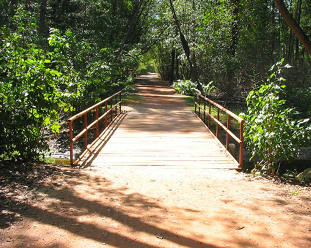 Lugar Parque Estadual do Rio Cocó