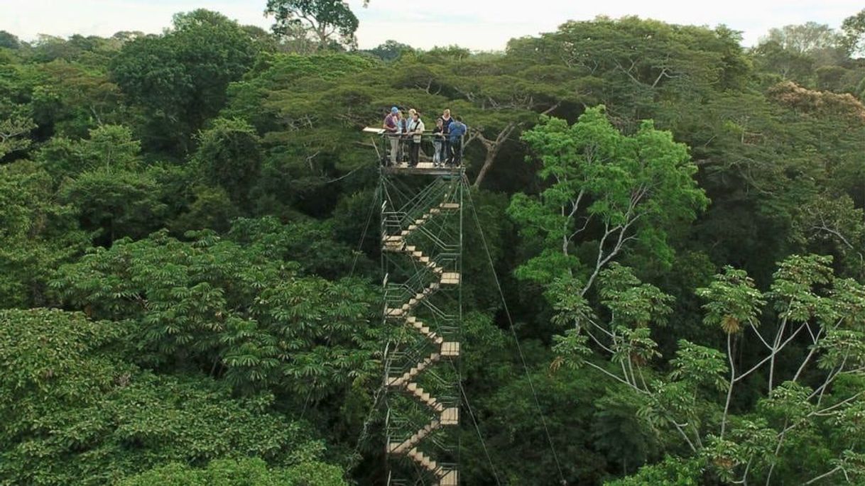 Lugar Tambopata