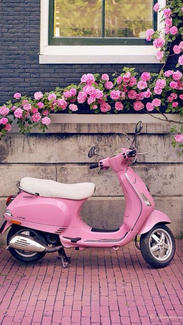 Moda Scooter Rosa