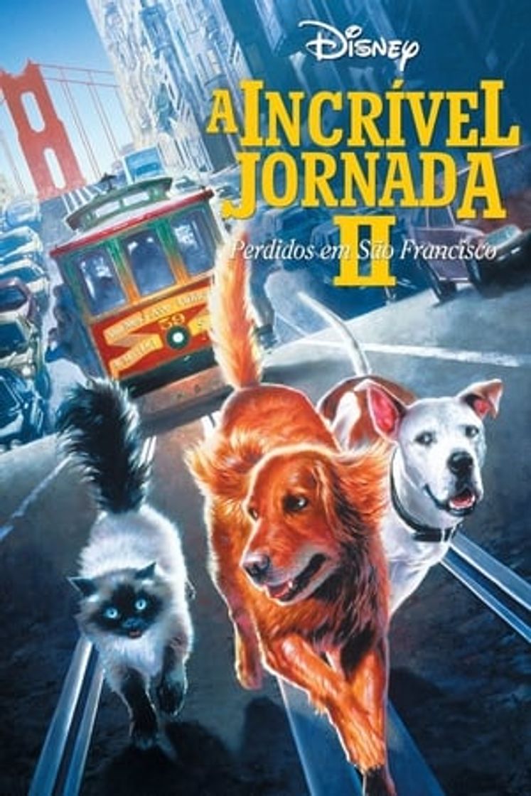 Película De vuelta a casa 2: Perdidos en San Francisco