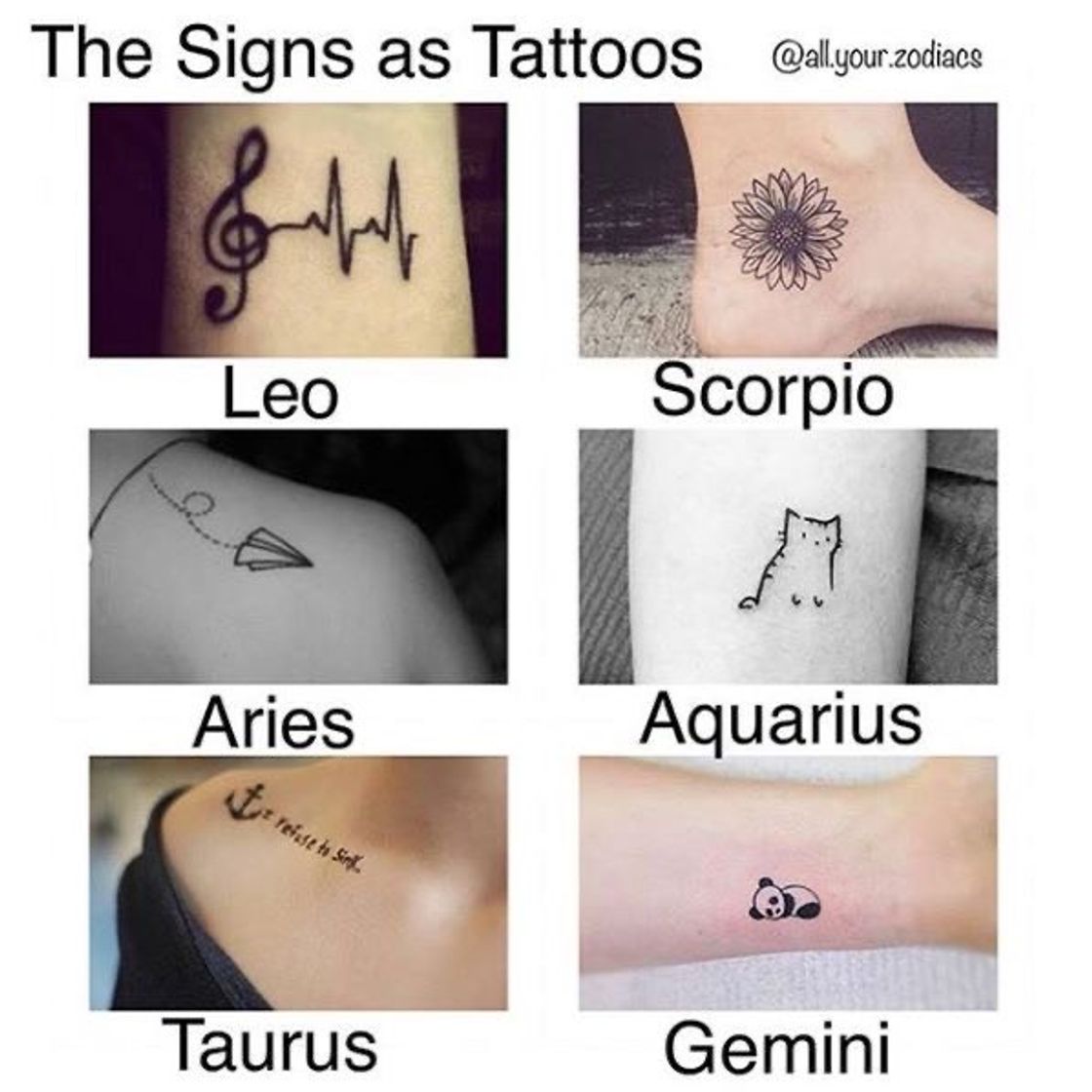 Social https://pin.it/BT6X6YT