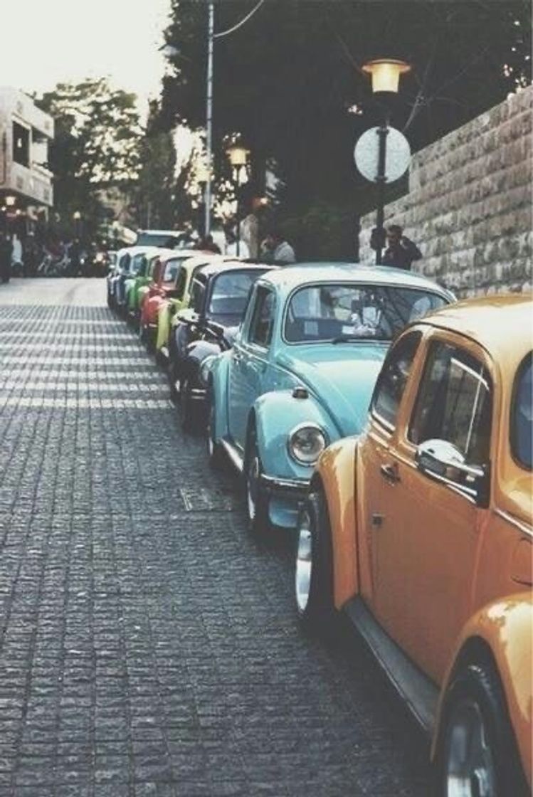 Social https://pin.it/2zkSEjp