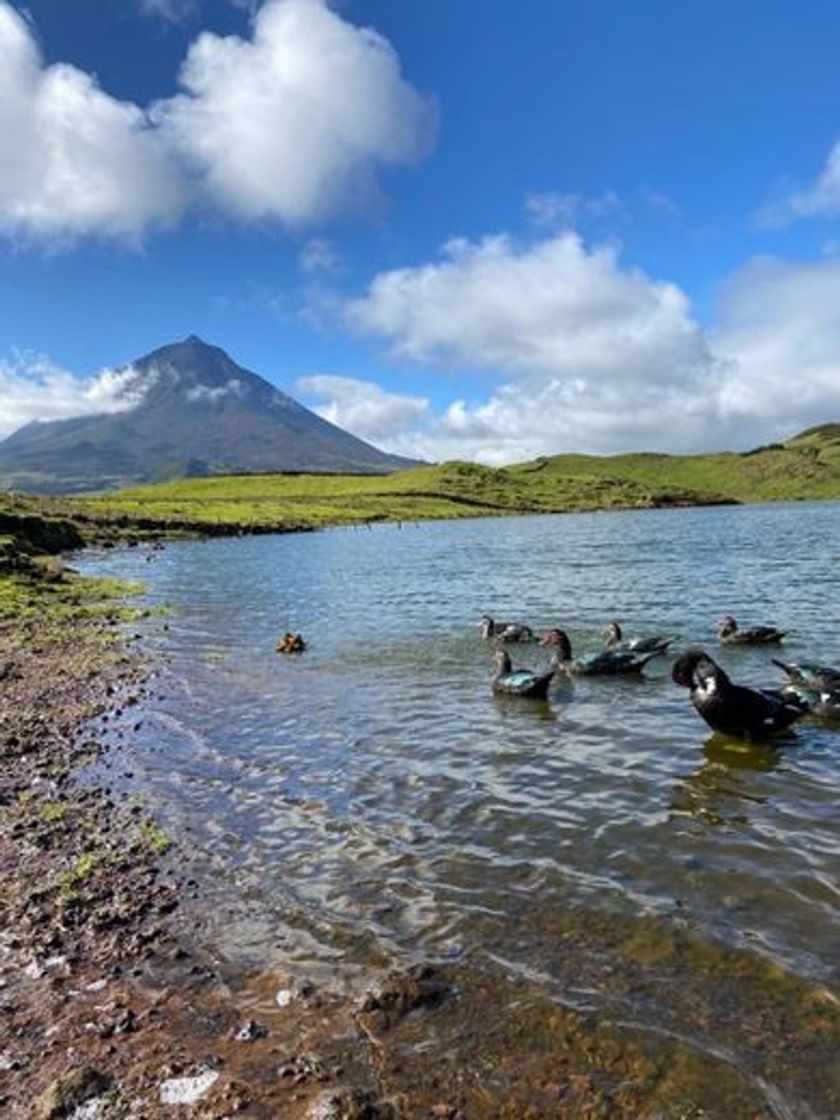 Place Ilha do Pico