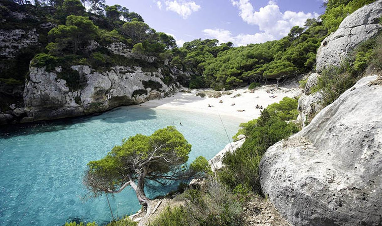 Lugares Camí de Cala en Turqueta