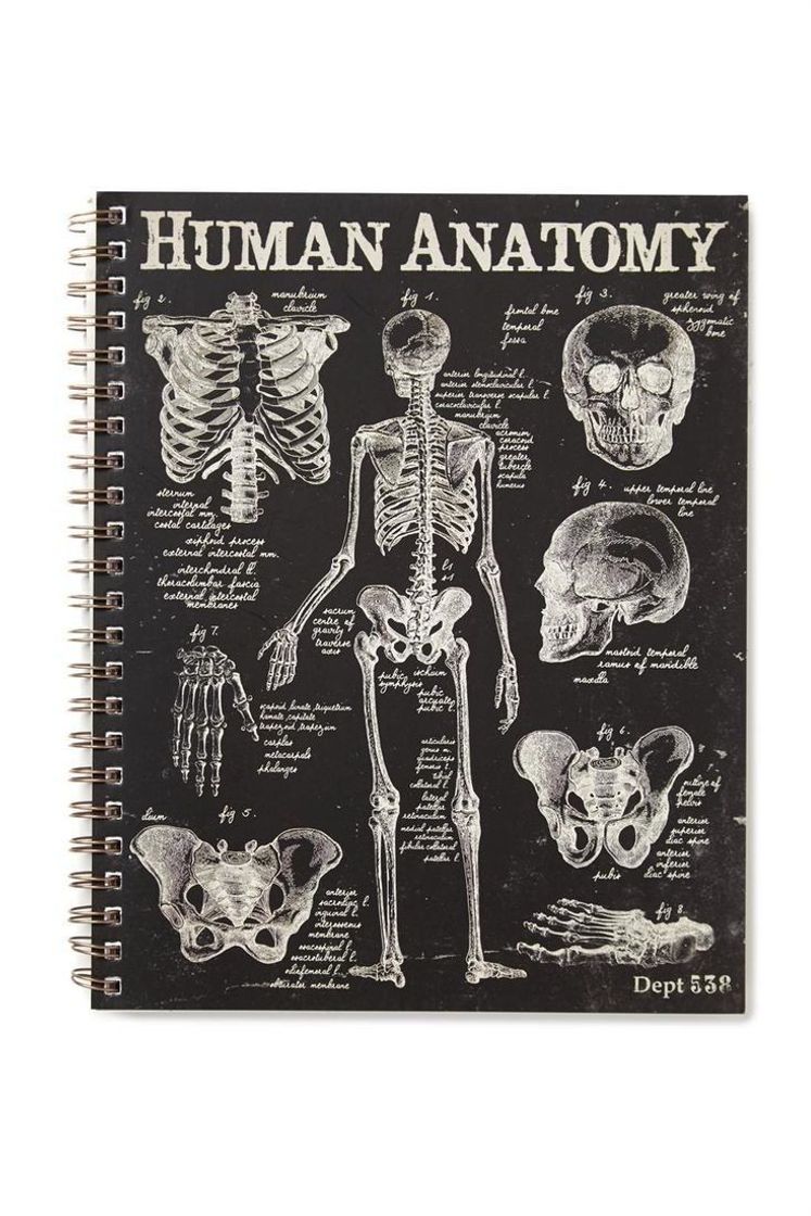 Product Anatomia